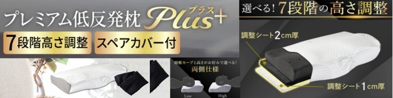 GOKUMIN v~Aᔽplus+TCg